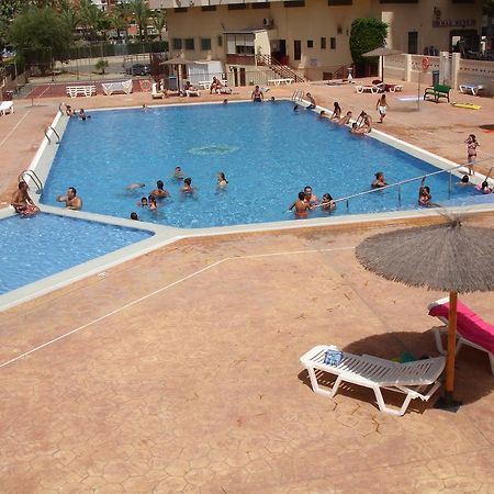 Acuarium 3 Studio - Zand Properties بينايدورم الغرفة الصورة
