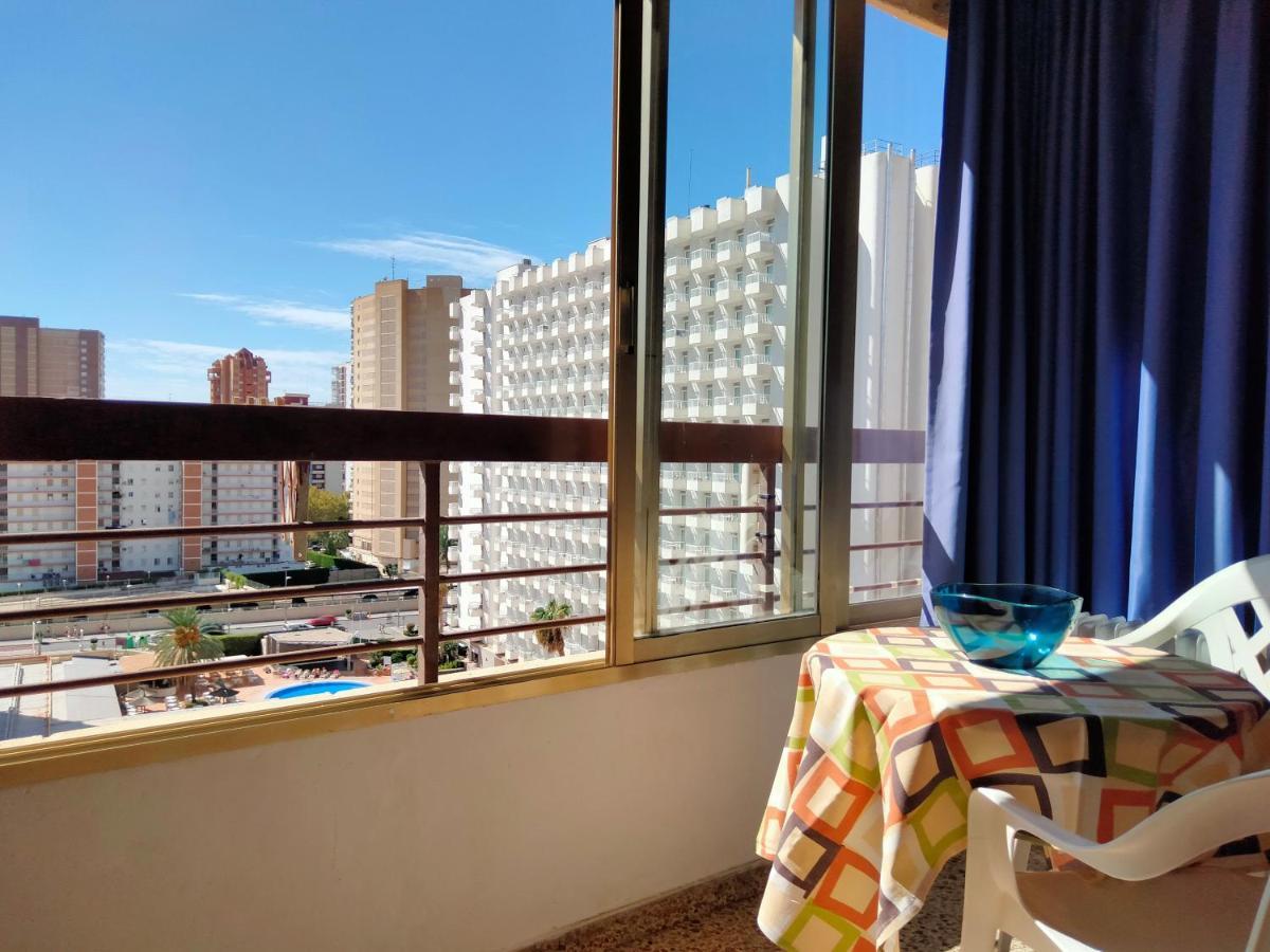 Acuarium 3 Studio - Zand Properties بينايدورم المظهر الخارجي الصورة